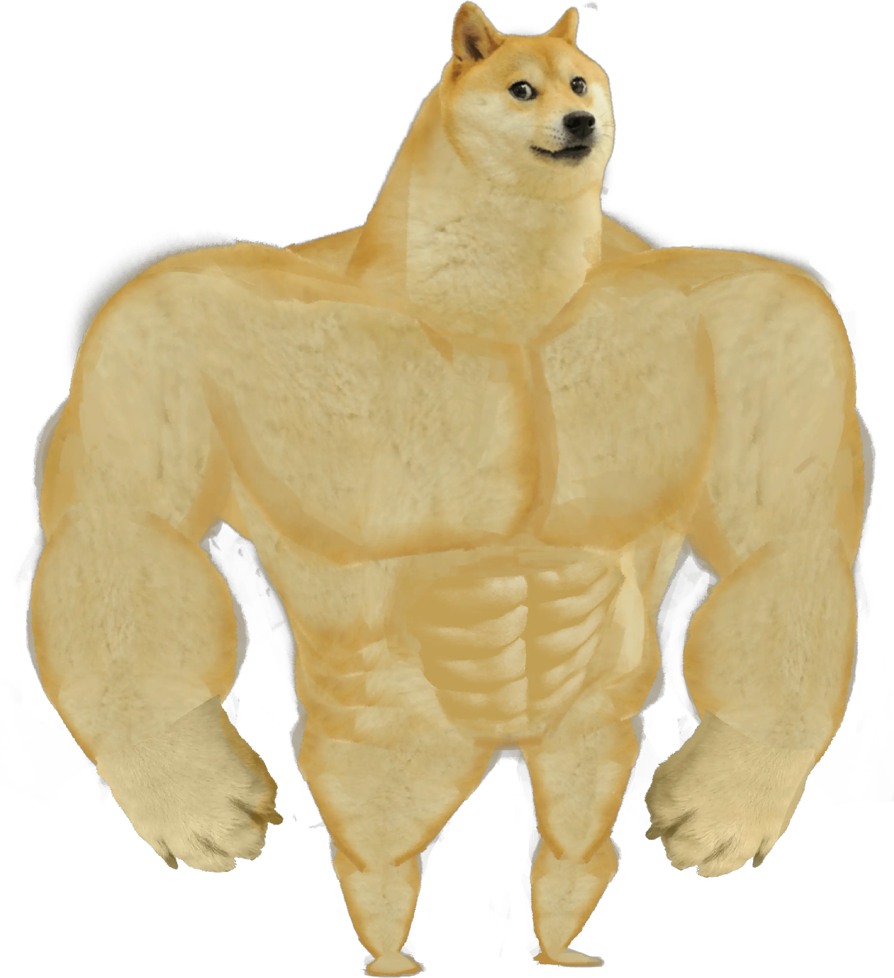  Buff Doge