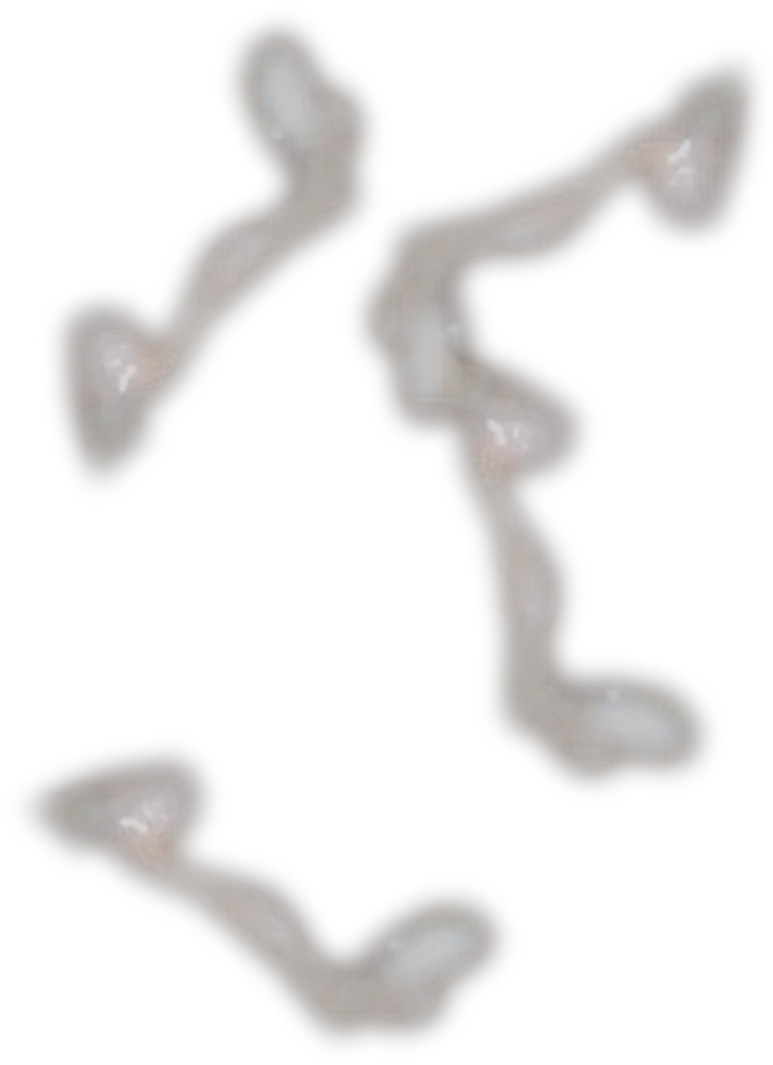  Cum Transparent Background Beige