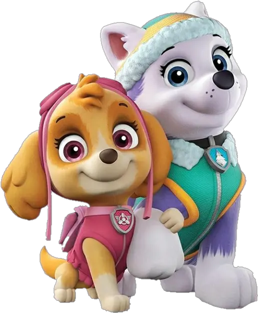  Paw Patrol Skye And Everest