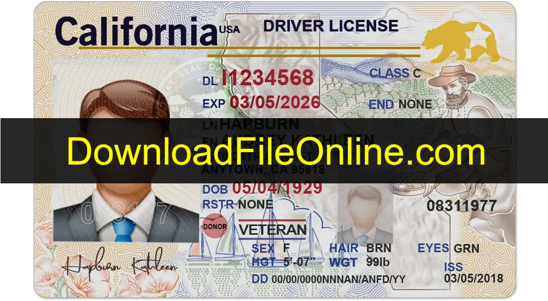  California New Front Fake Id Template Psd Free Download Editable Blank California Driver39s Lic