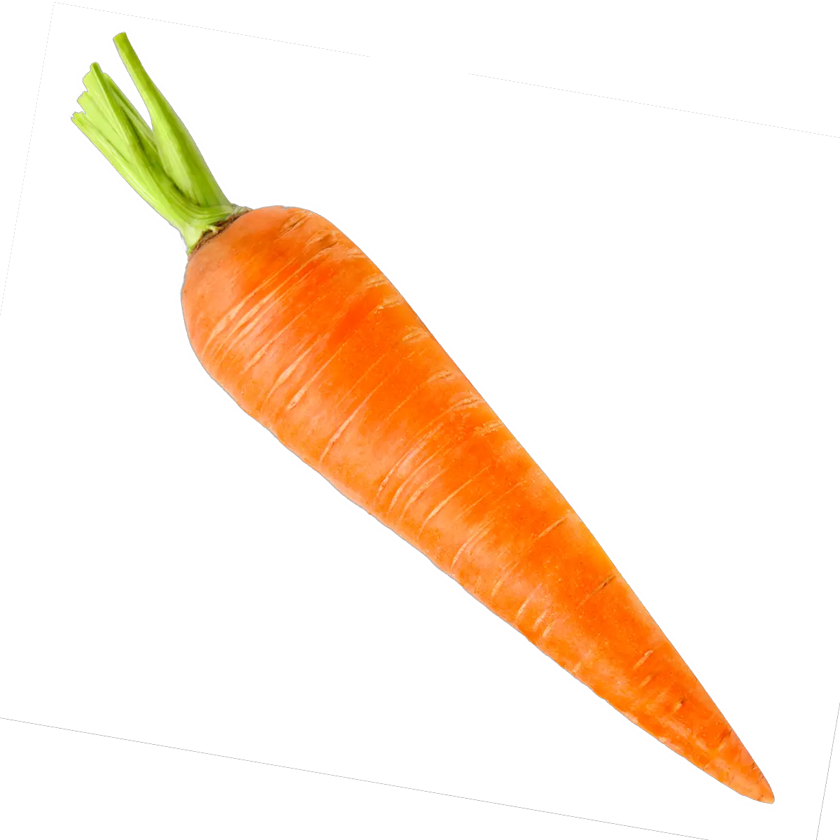  Transparent Carrots Png Vegetable Carrot