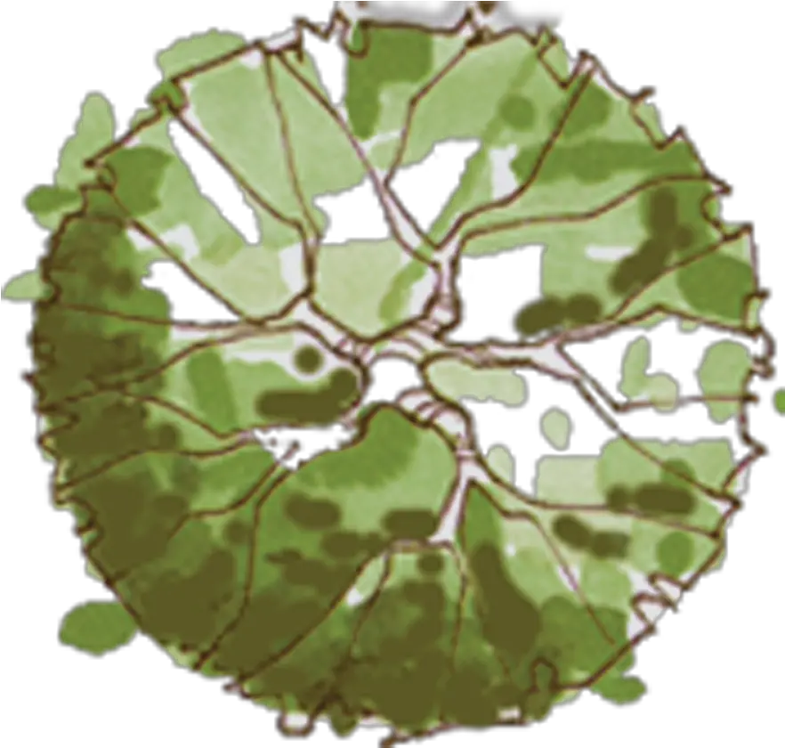  Site Plan Trees Png Architecture Tree Plan Png