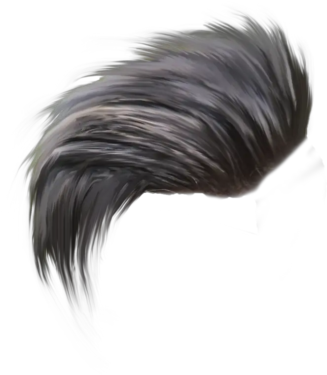  Top 50 Hair Png Download All New Cb Hair Style Png Hair Png For Picsart