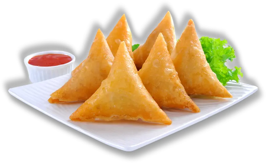  Chicken Samosa