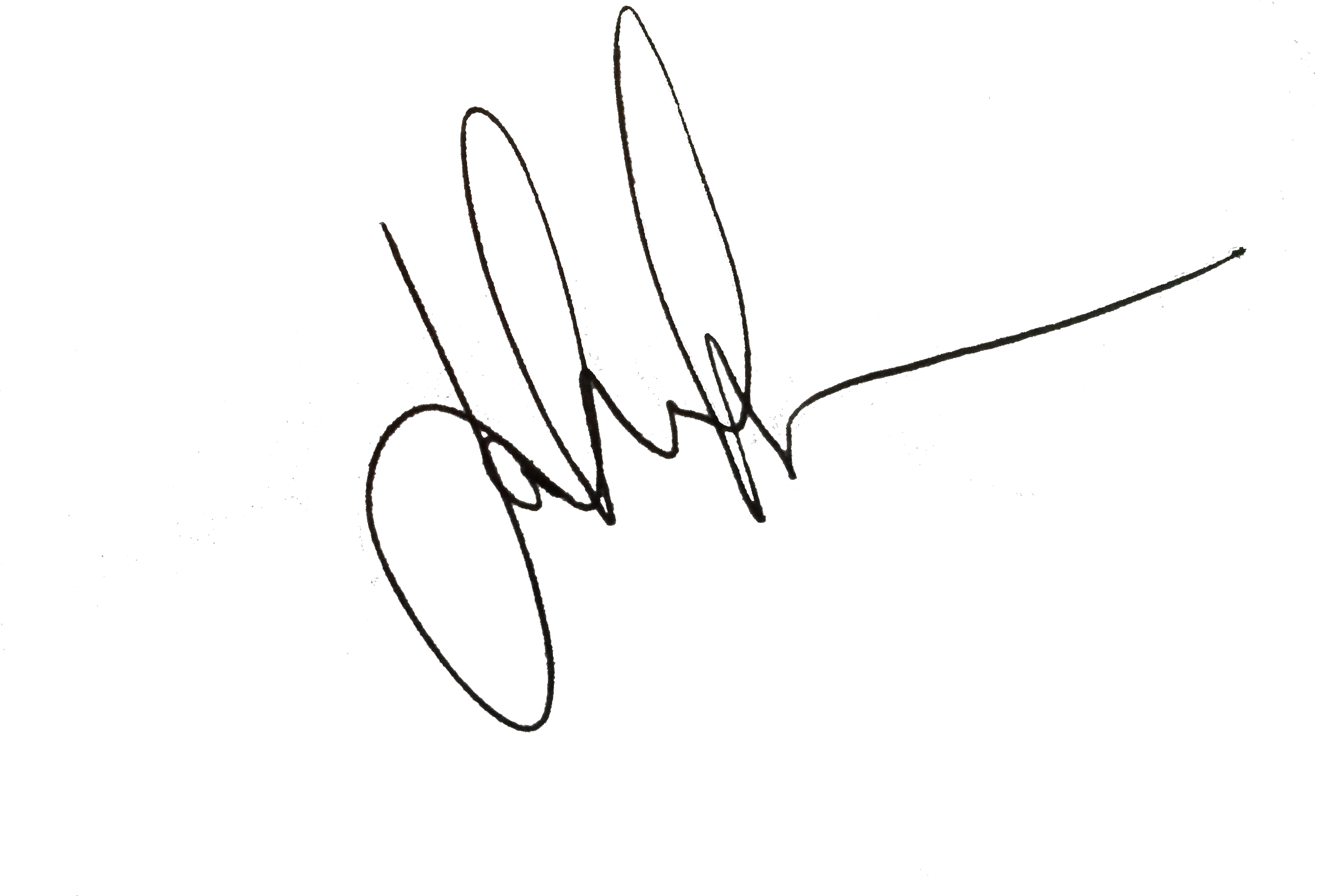  Fake Signature Png -fake Signatures Line Art