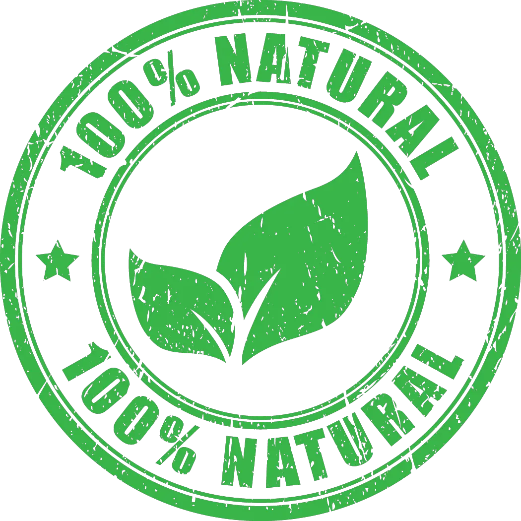  100 Natural Logo Vector