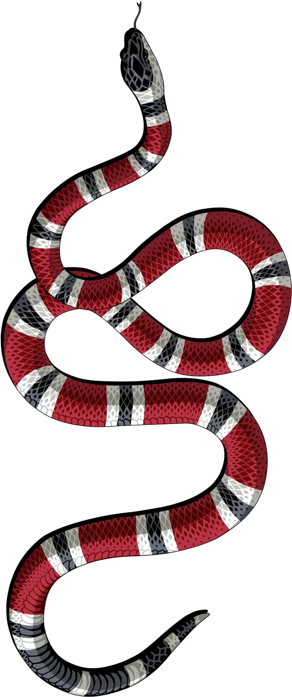  Gucci Snake Png Gucci Snake Logo Png