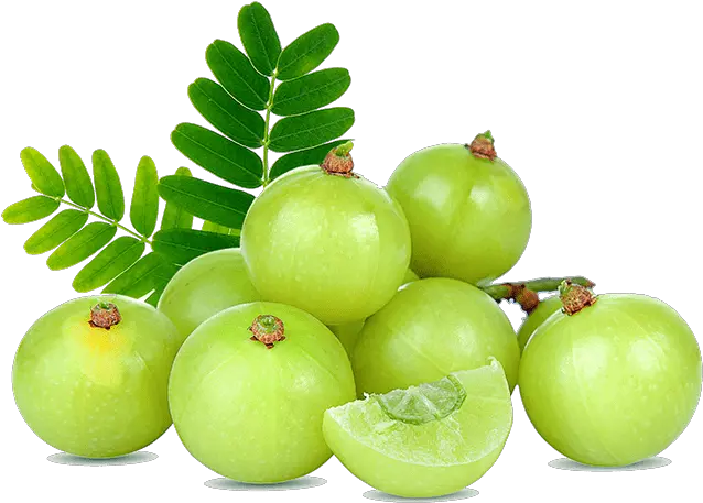  Amla Fruit
