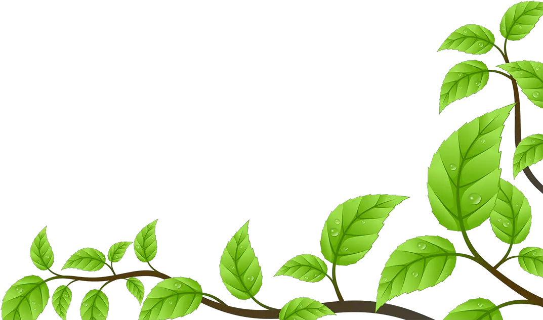  Frame Daun Png