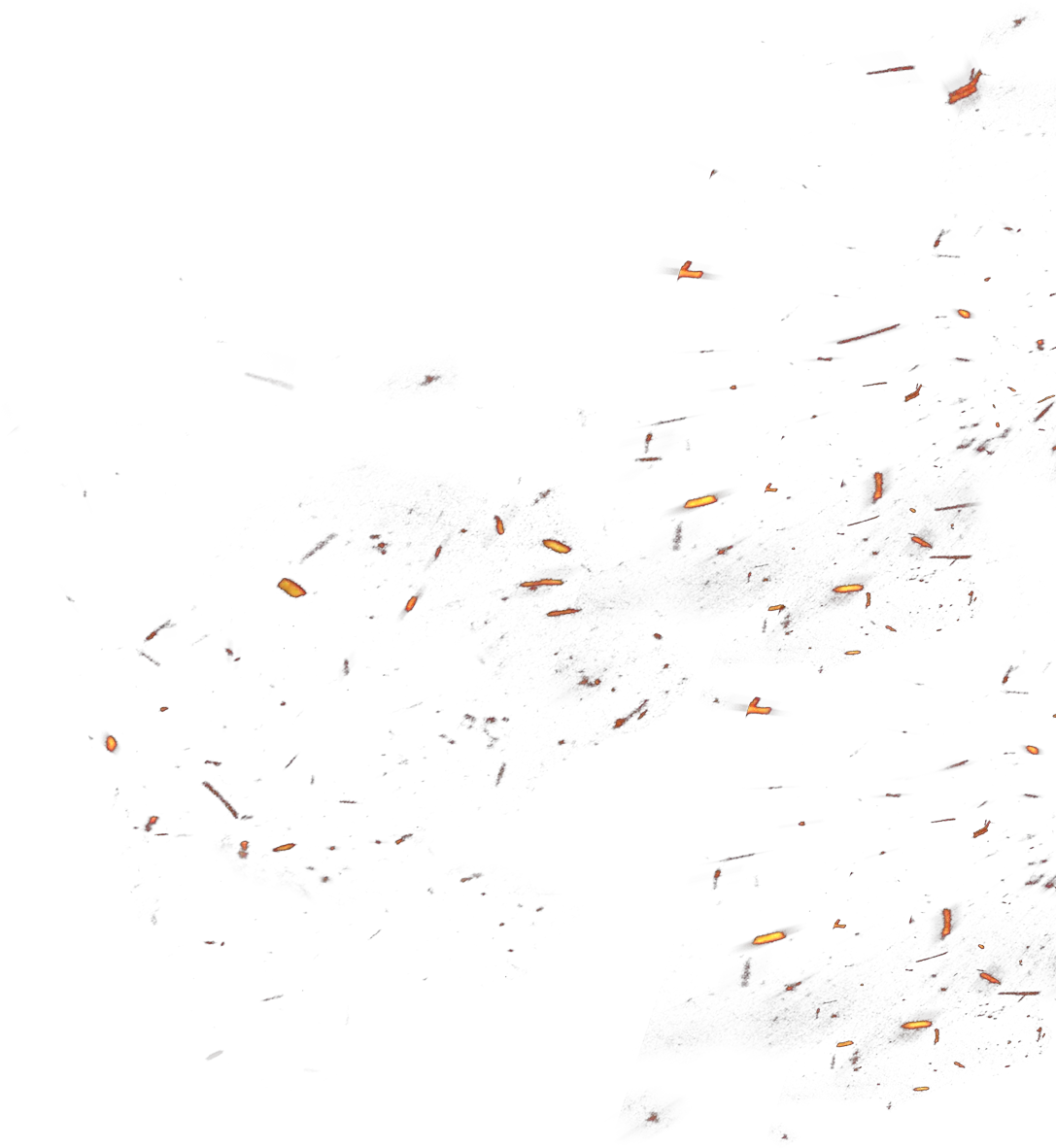  Fire Embers Png Animal