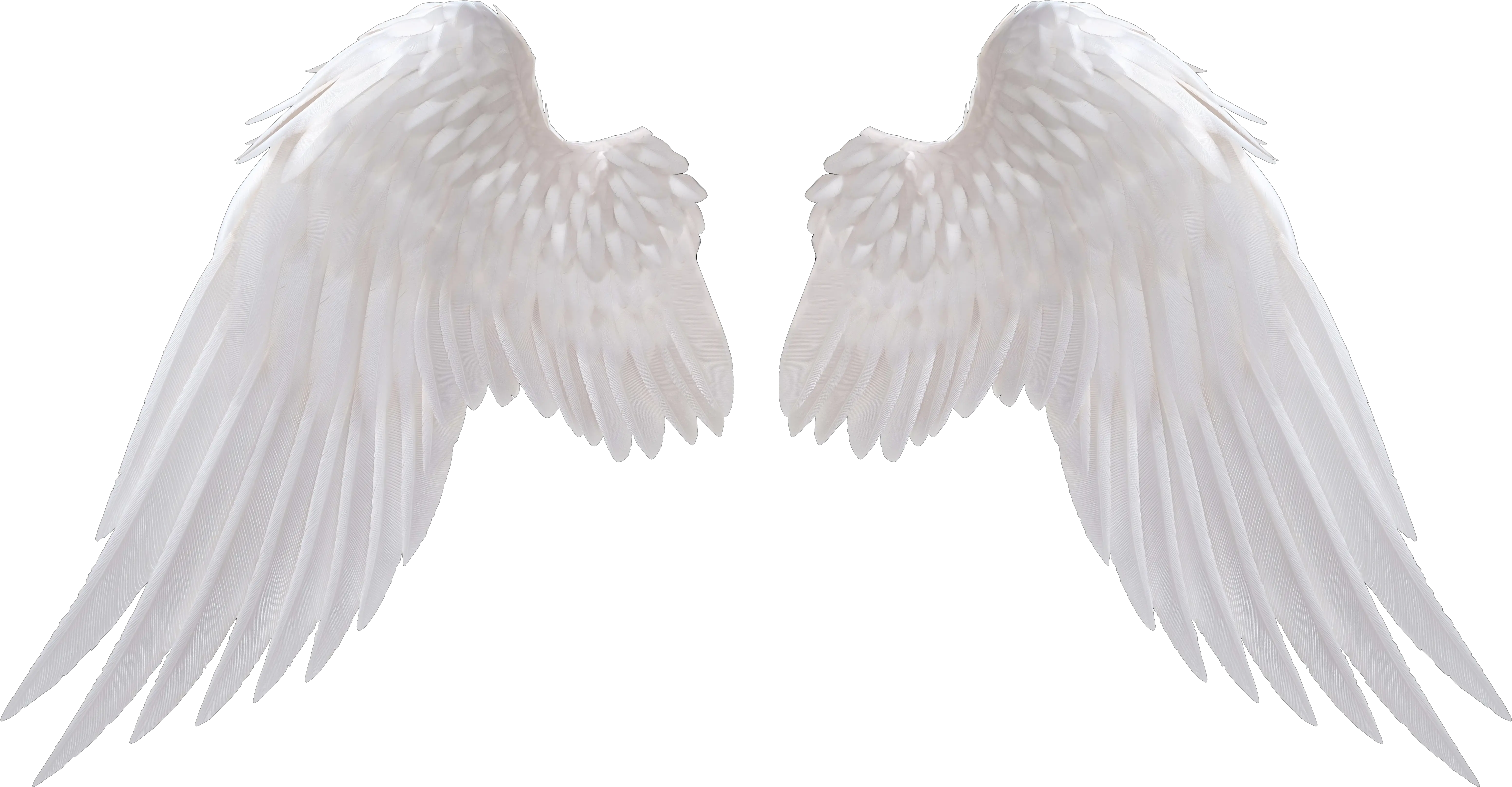  Angel Wings Png Transparent Background Angel Wings Png