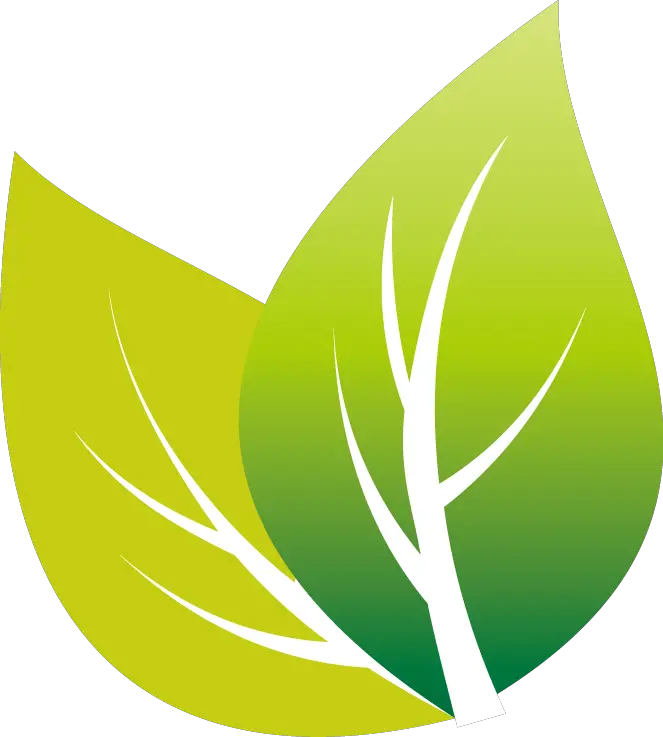  Transparent Tea Leaves Png Transparent Leaf Vector Png