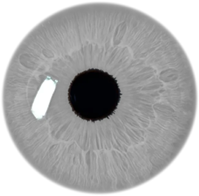  White Eye Png -eye Stickers Transparent Grey Filter Eye Lens Png Hd
