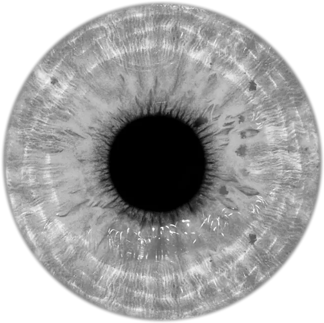  Transparent Gray Fullbuster Png White Eye Lens Png