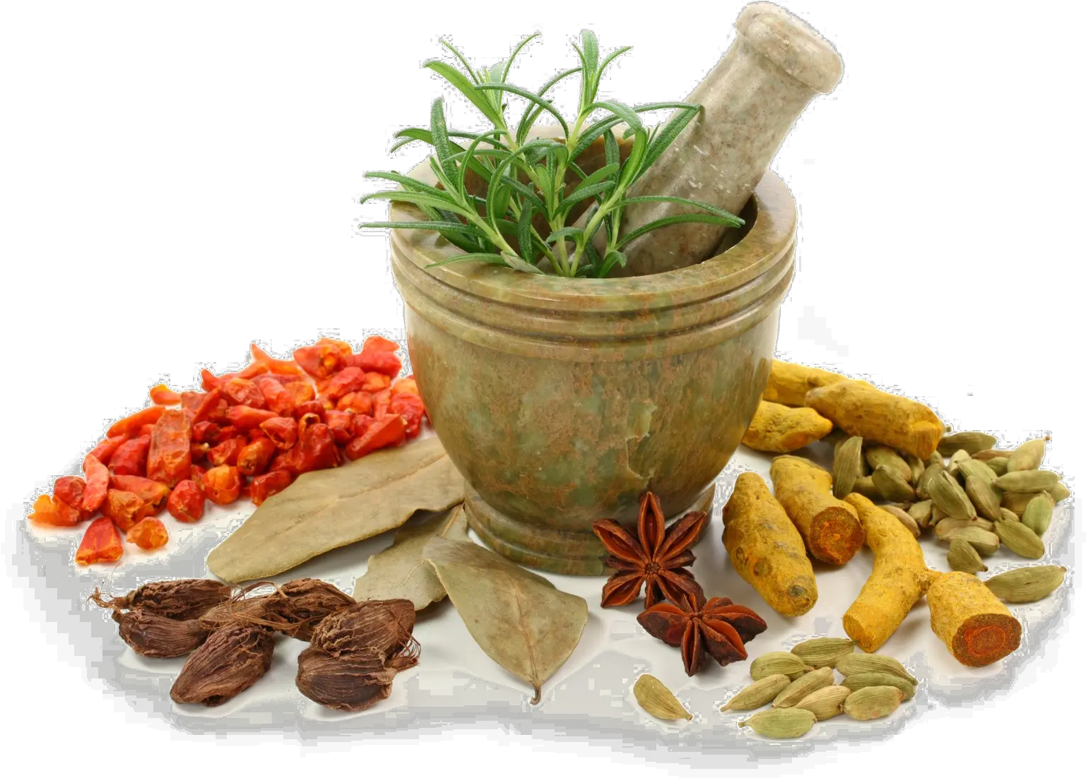  Download Ayurveda Png Free Download Ayurvedic Png