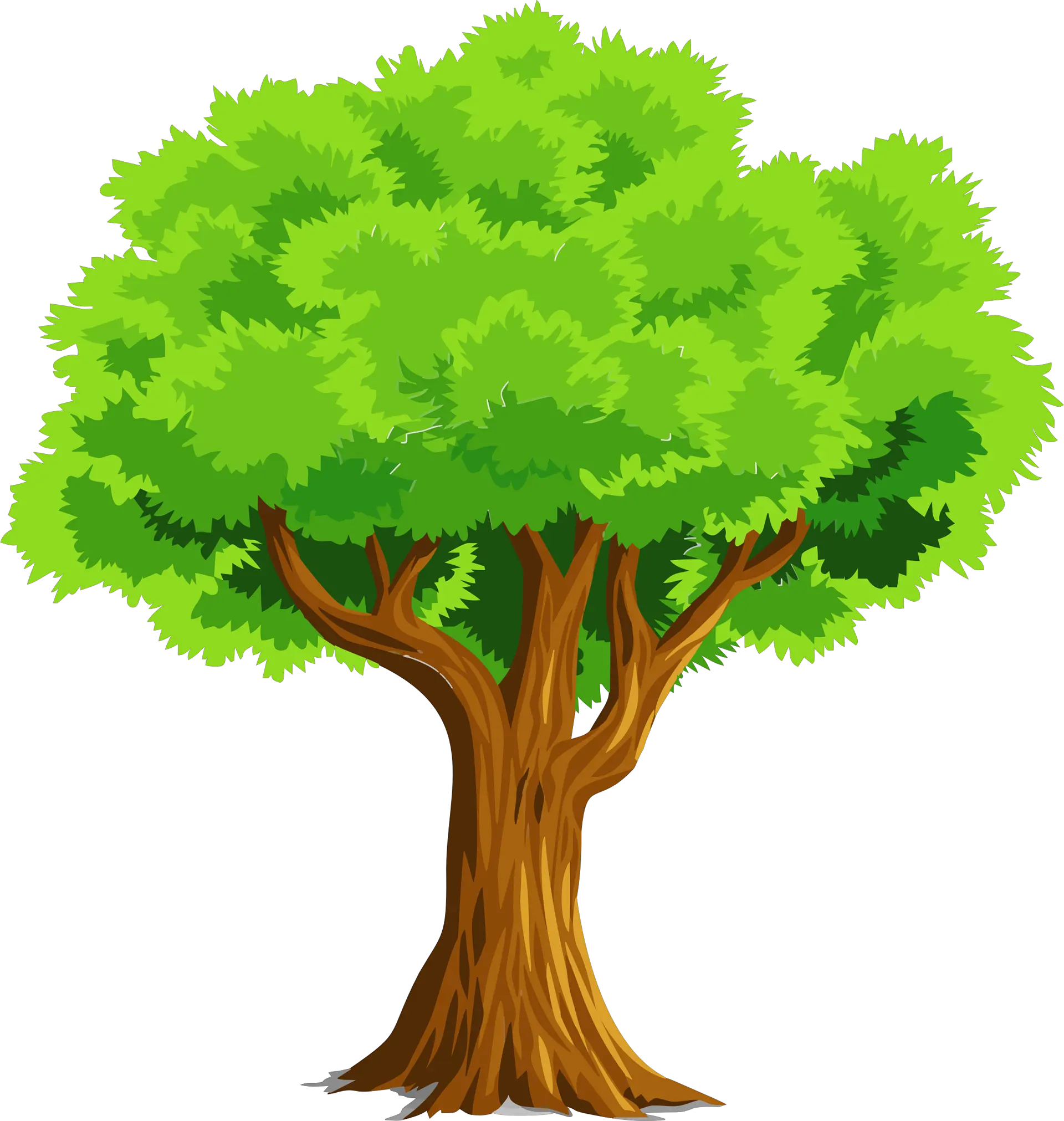  Colorful Natural Tree “free” Png File Clipart Tree Clipart