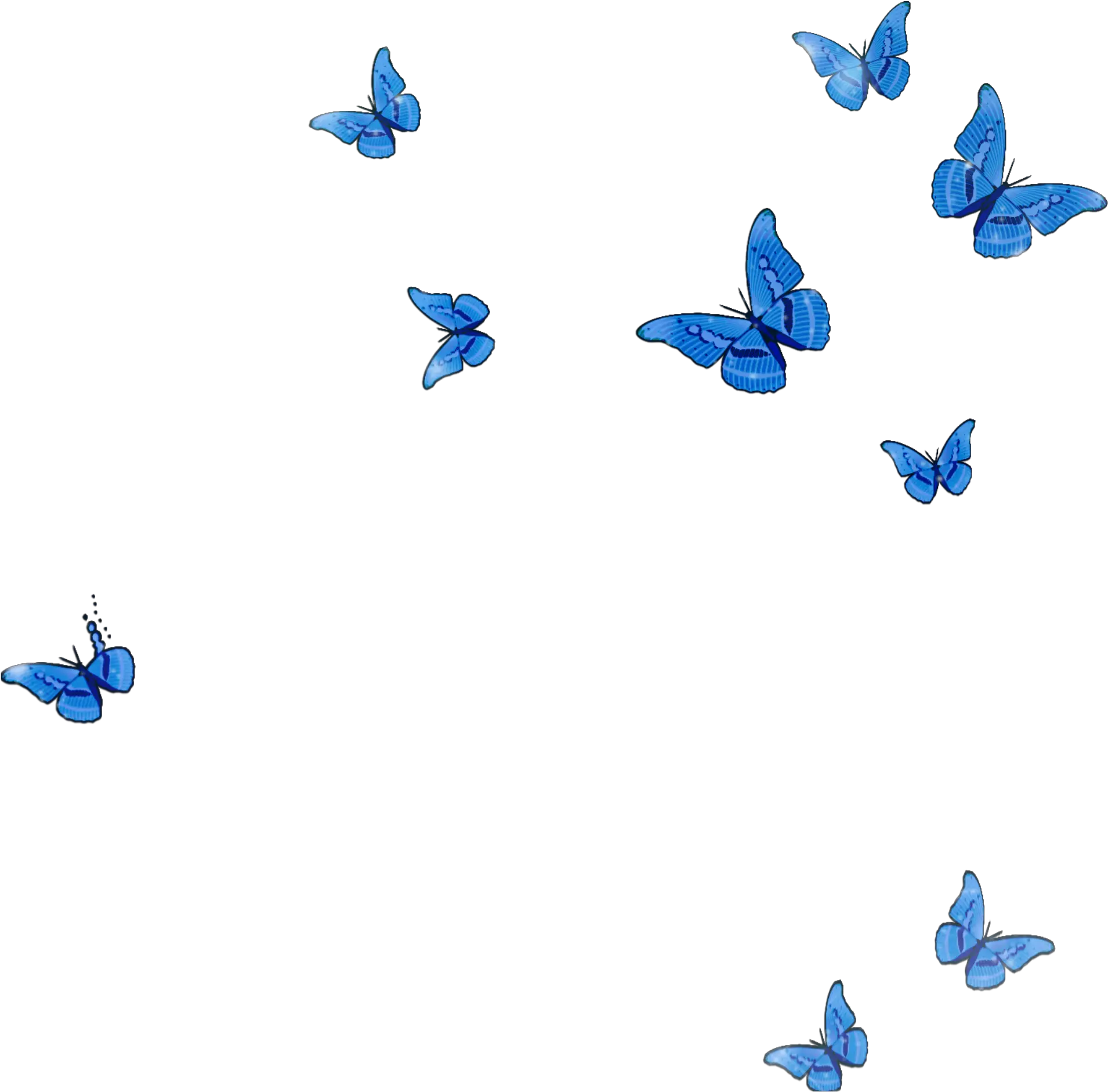  mq blue butterfly animal flying fall Flying Transparent Blue Butterflies
