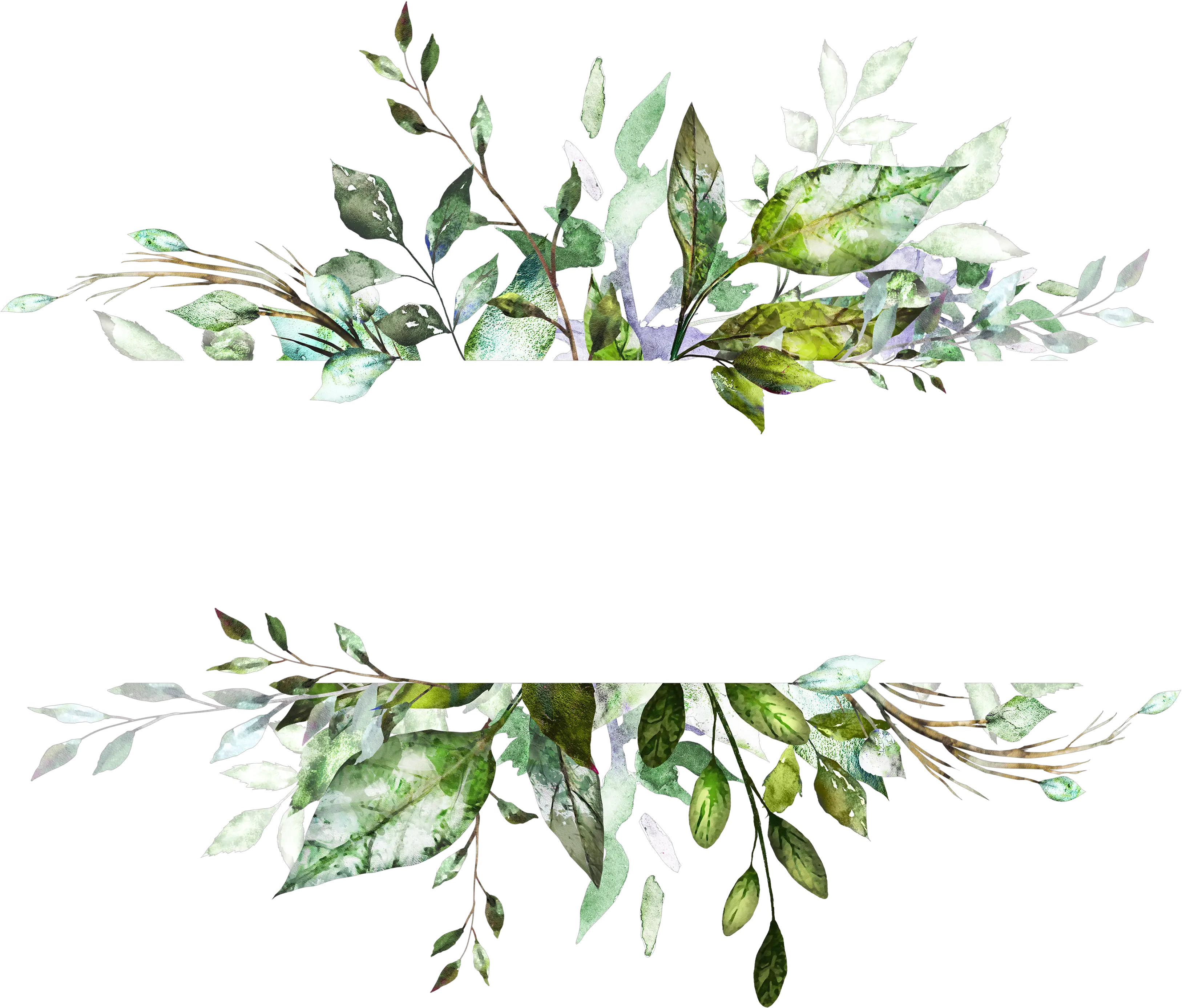  Watercolour Leaf Png Frame