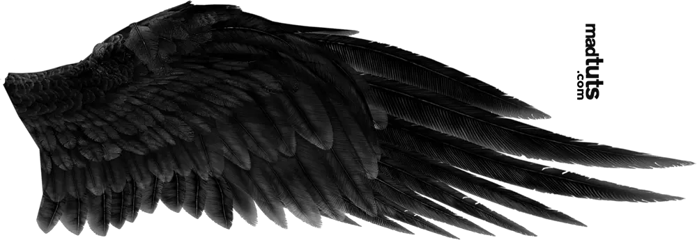  Black Wings Png Free Download Black Angel Wings Png