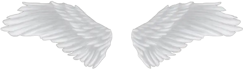  White Angel Wings Png