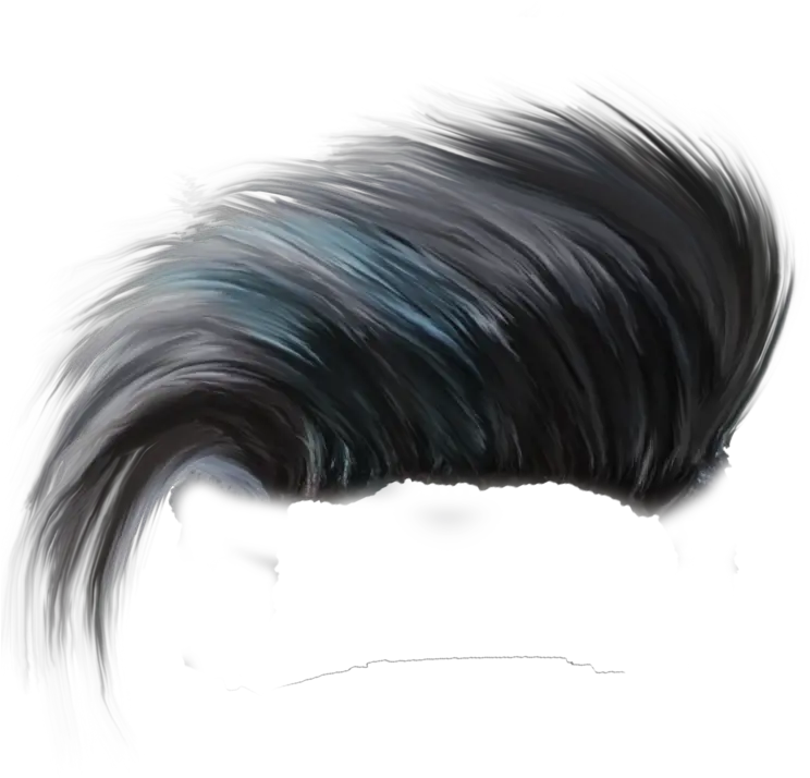  Transparent Girl Hair Png Hair Style Png Hd