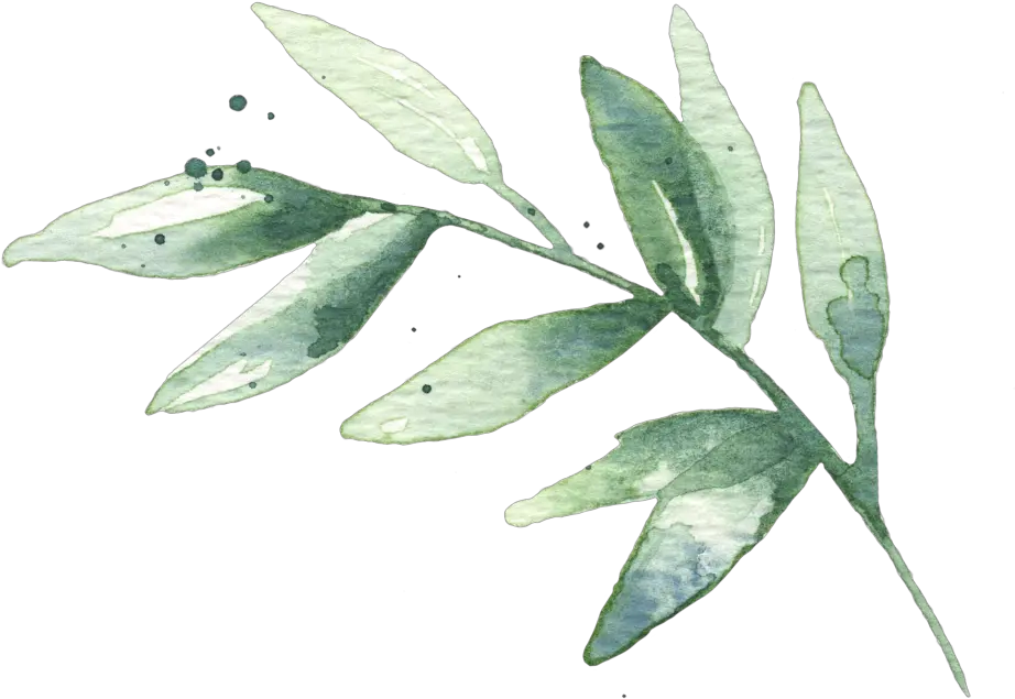  Hd Watercolor Leaves Free Watercolor Green Leaves Png