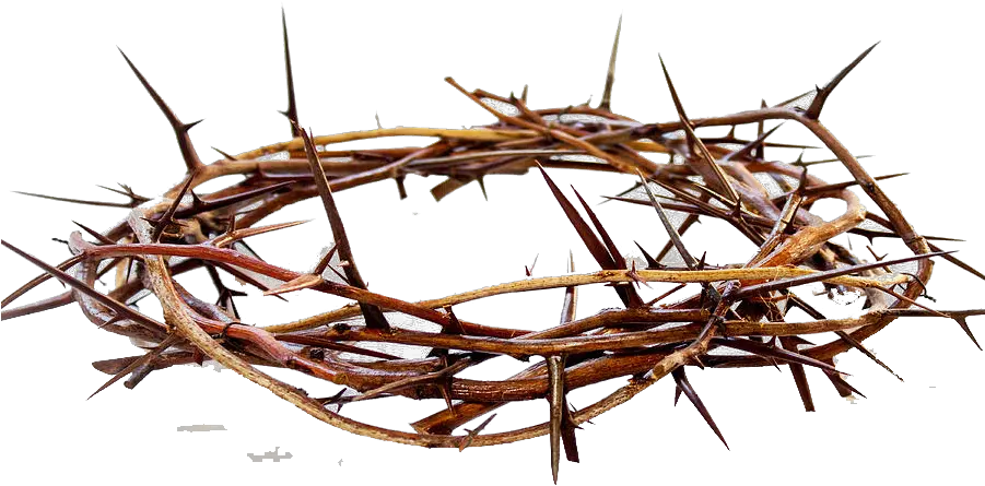  Crown Of Thorns Png Free Pic Crown Of Thorns Png