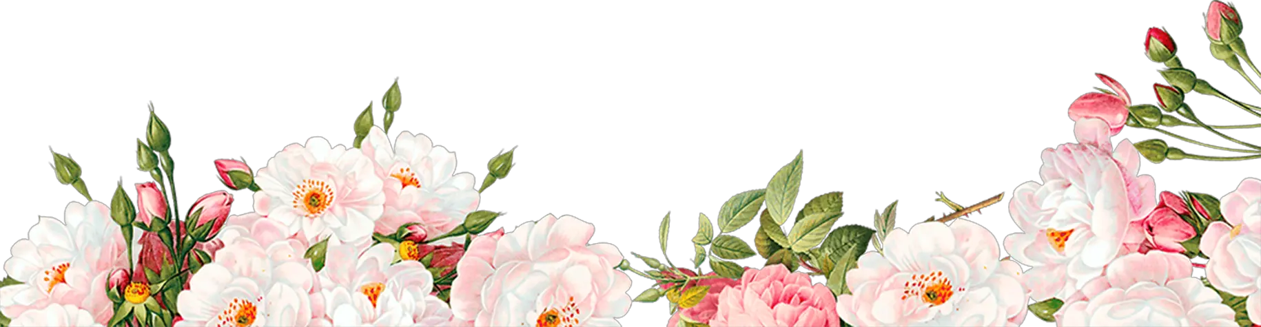  Png Floral Border Transparent Floral Border Png