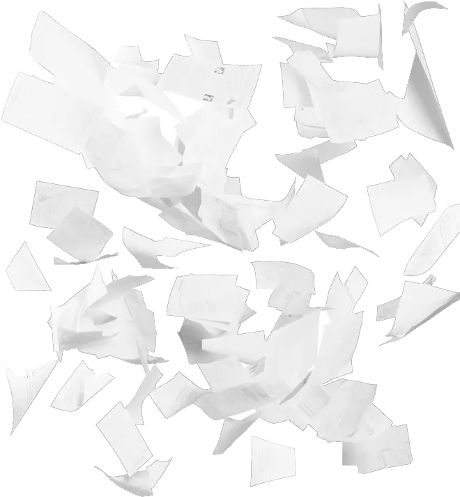  Papers Flying Everywhere