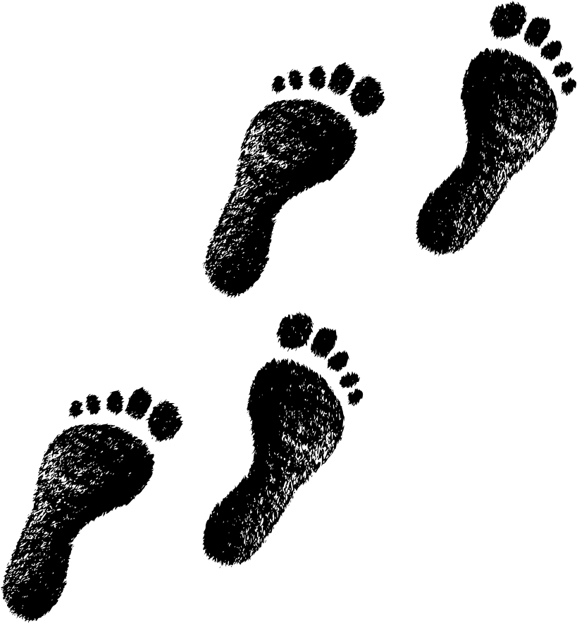  Transparent Walking Footprint Clipart Footprint Png
