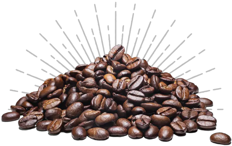  Transparent Cocoa Beans Png High Resolution Coffee Beans Png