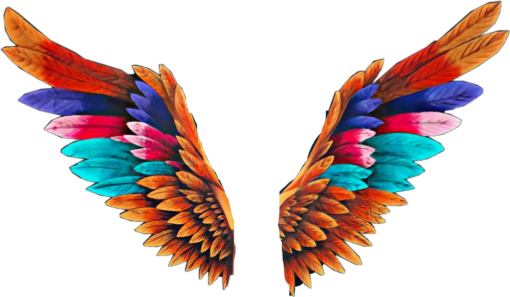  Angel Wings Colorful