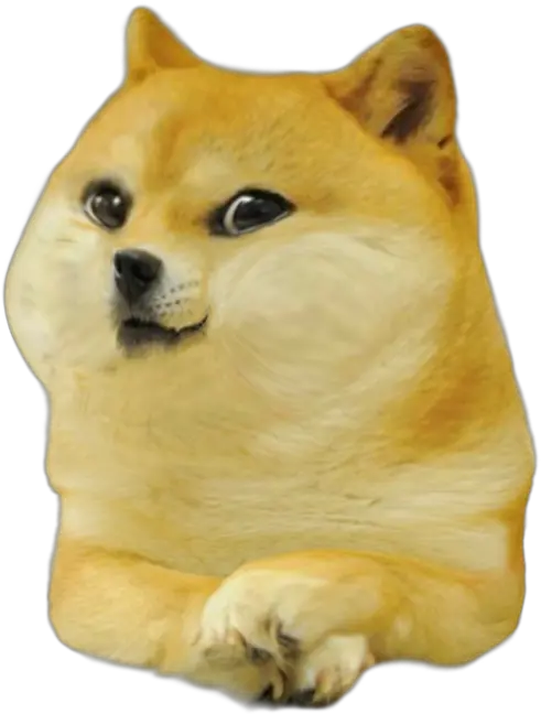  Baby Doge
