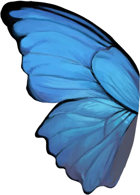  Butterfly Wing Blue Butterfly Wings Png