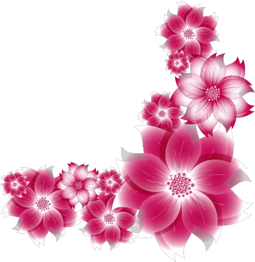  bloom pink frame flower border flowers white Flower Frame Pink Png