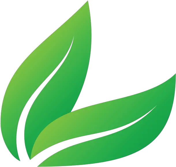  Two Green Leaves Png