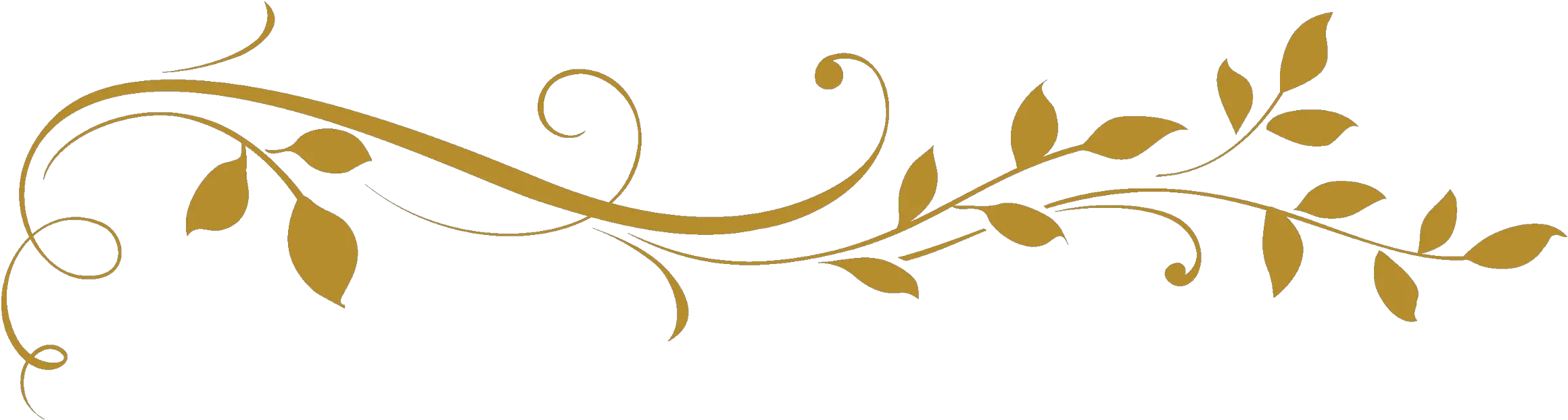 499422 Nature Divider 1 Gold Filigree Transparent Background