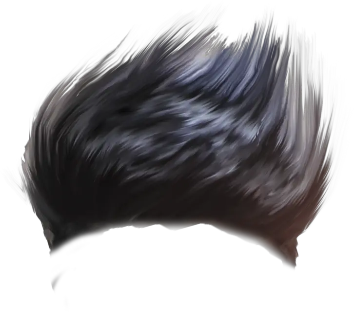  Hair Png New Hair Png Download