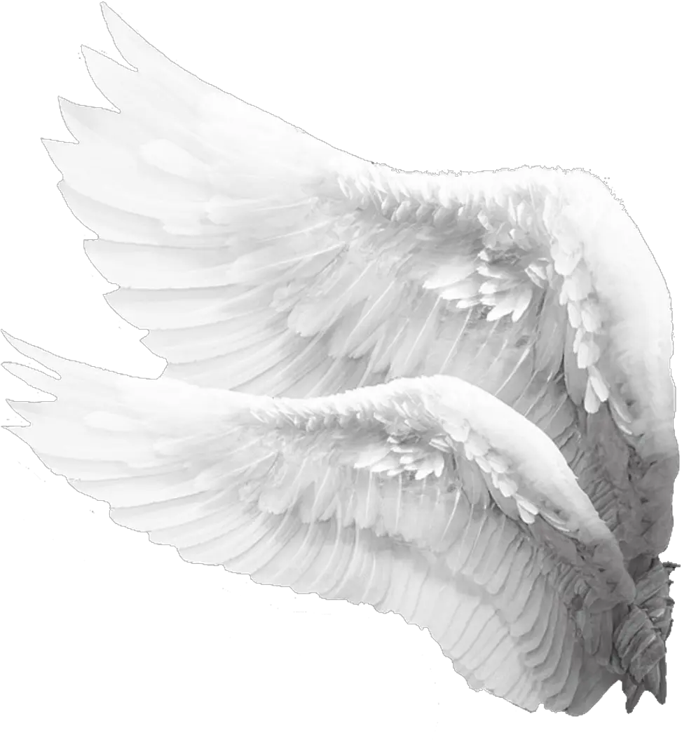  freetoedit wings white mysticker picsart Angel Wings Png Side