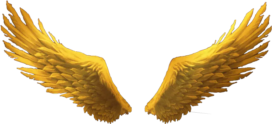  goldenwings goldwings golden gold wings wimg Gold Angel Wings Png Transparent