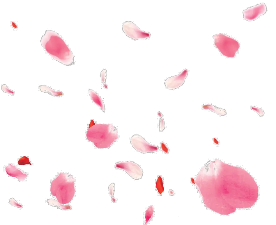  Falling Petals Png Rose Petals Pink Png