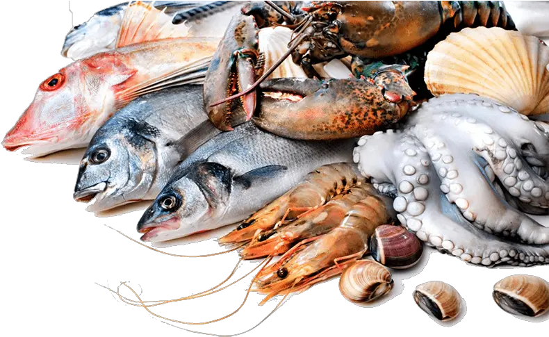  Fresh Fish
