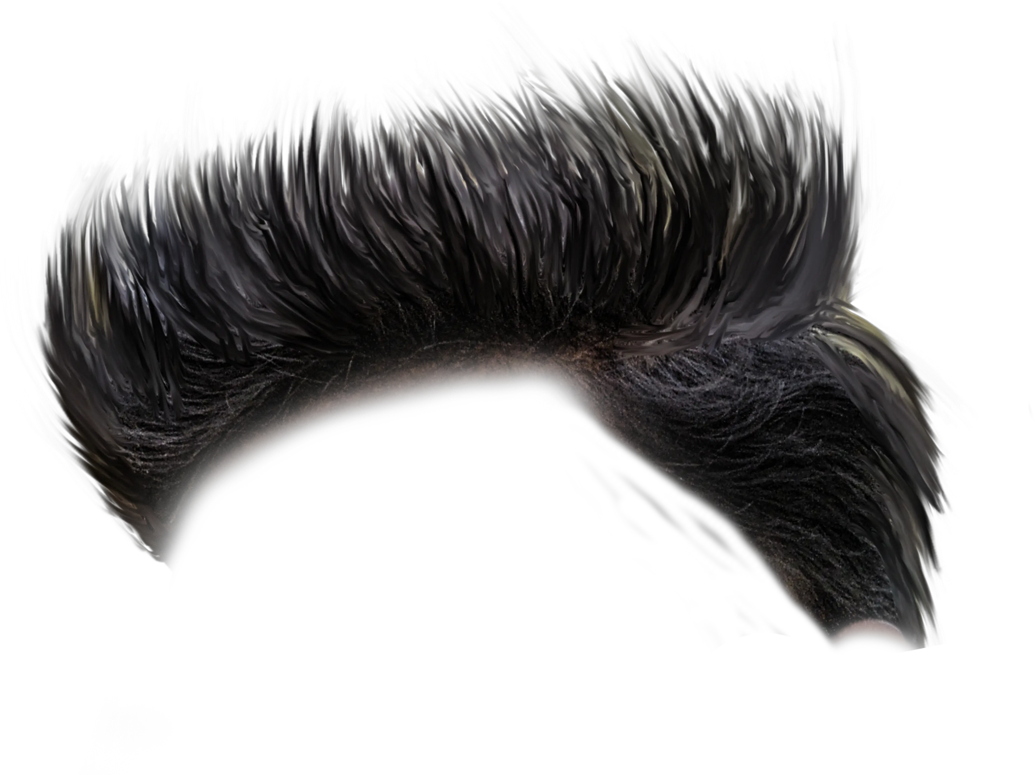  Black Hair Png Side Hair Png Boy
