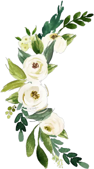  Watercolor Flower Png