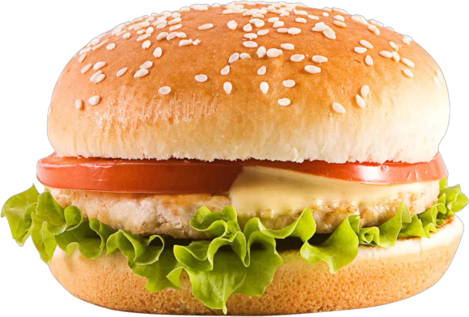  Hamburger
