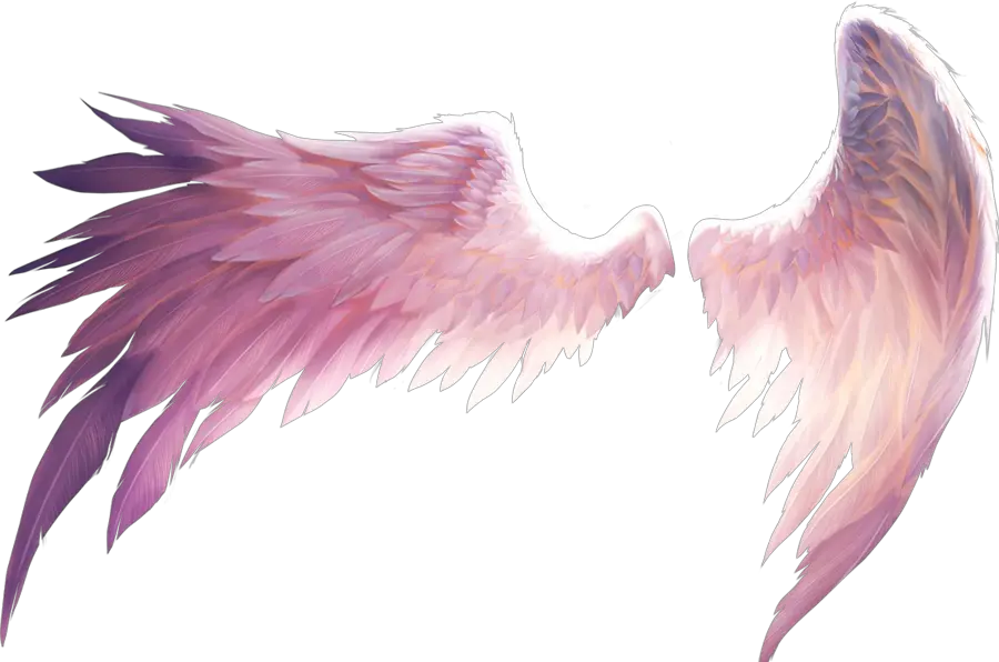 Feather Png Picsart Picsart Stickers Wings Clipart Anime Angel Wings Transparent