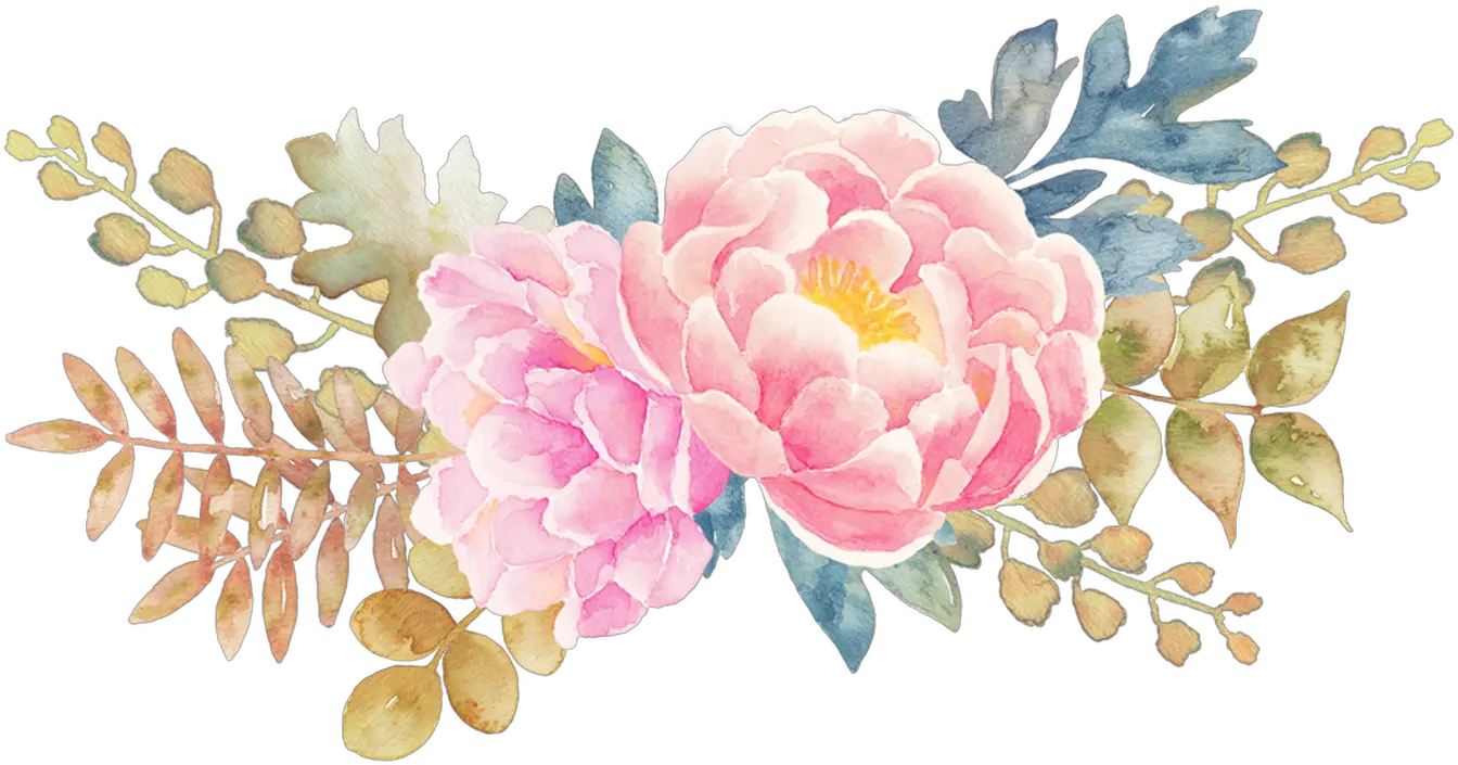  Transparent Flower Png Pack Pastel Watercolor Flower Png