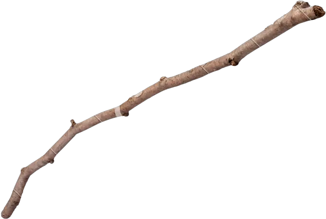  Marshmallow In A Stick