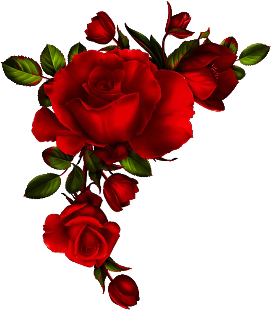  Yükle Red Rose Petals Vector Material