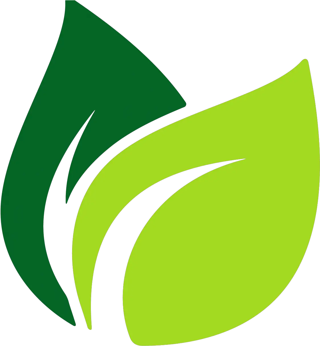  Fern Clipart Daun Green Leaf Vector Png